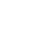 DG Cargo